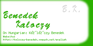 benedek kaloczy business card